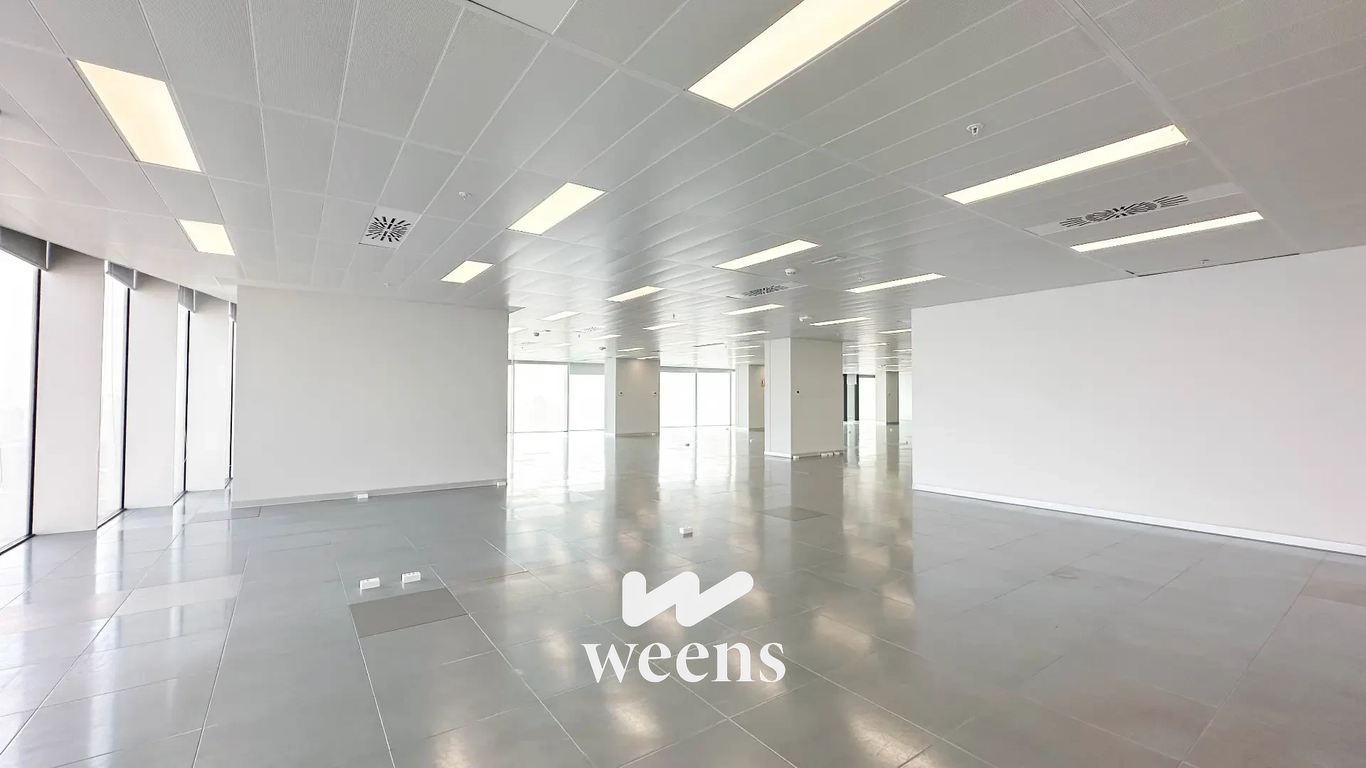 01a026fa58fb7a7d8a67ba02d5304079_Weens_alta_resolucion.webp