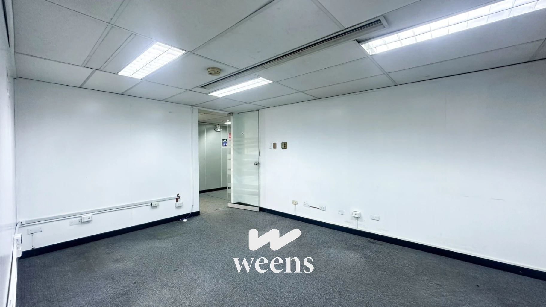 2b683df0301d4159b8c3d1a1de3ada70_Weens_alta_resolucion.webp