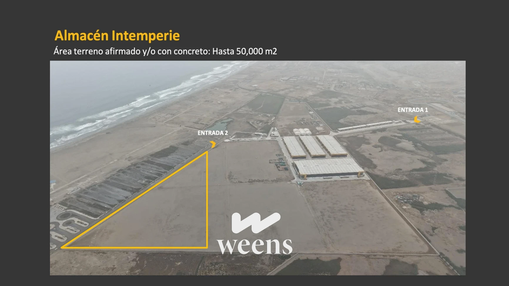 7608aeee-0f5f-4f43-a8f8-b2a6d0e3520b_Weens_alta_resolucion.webp