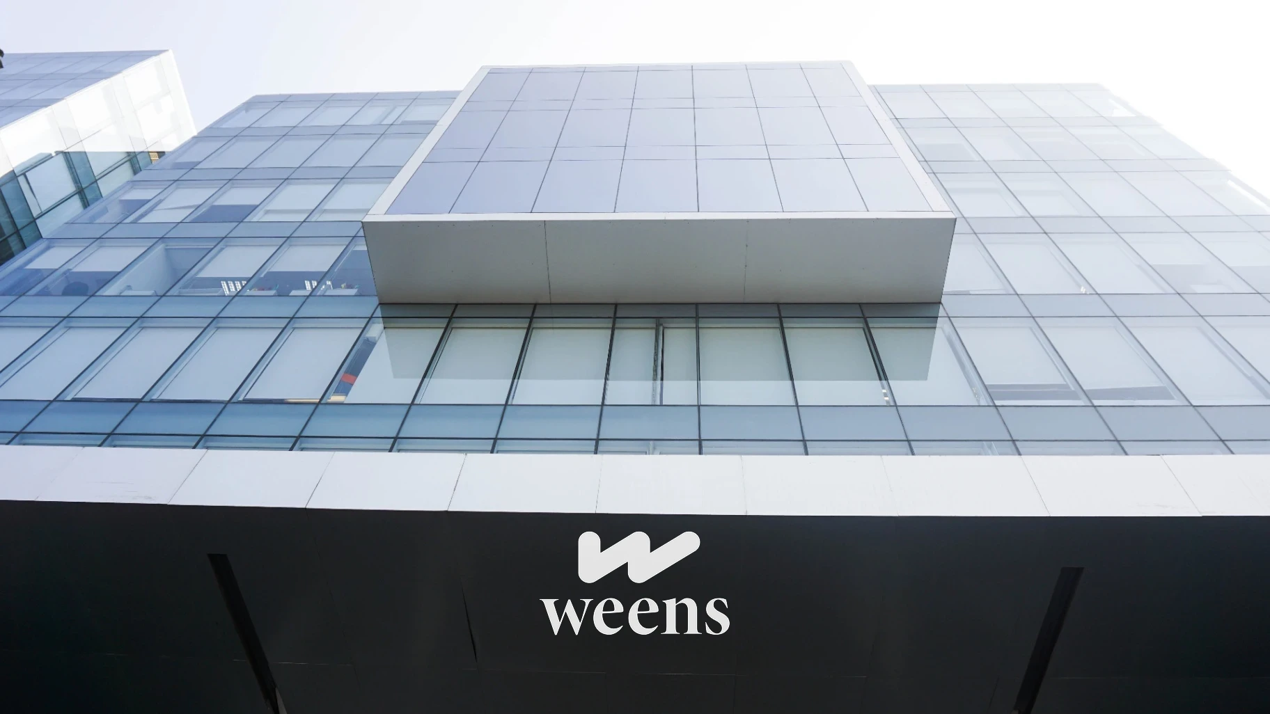 e03654c8-2444-4b89-96b5-1f2245308544_Weens_alta_resolucion.webp